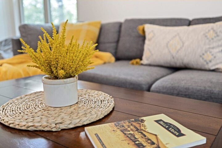 Relaxing living room with cozy gray sofa, yellow pillows, and a wooden coffee table with a potted pl.