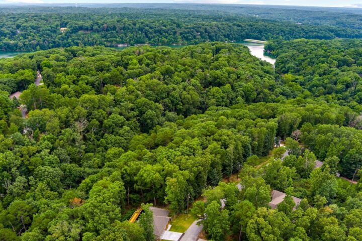Aerial view of lush green forest near Back 40 Trails in Bella Vista, Arkansas.