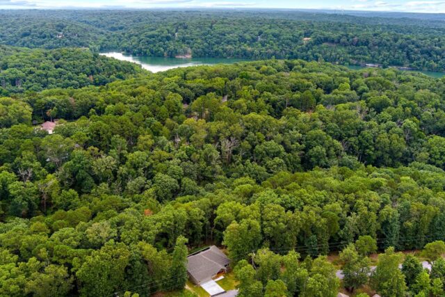 Aerial view of lush green forest near Back 40 Trails in Bella Vista, Arkansas.