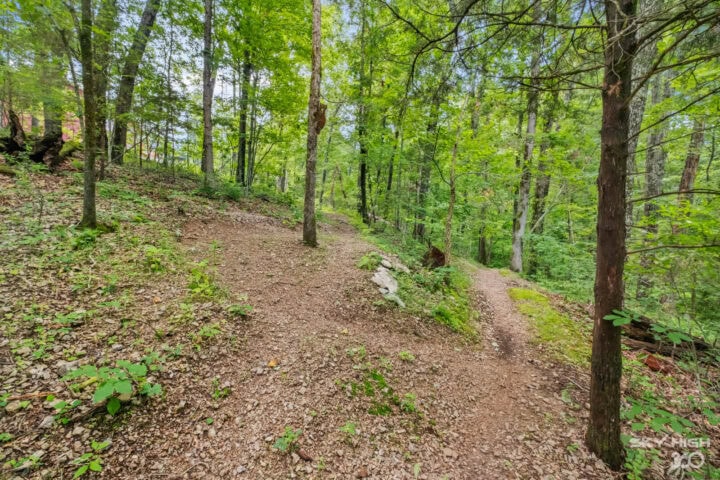 A lush green forest trail at Black Bear Cabin in Bella Vista, perfect for biking and outdoor adventu.